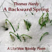 Primavera tardía