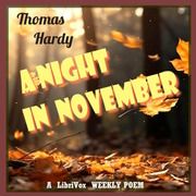 Una noche en noviembre